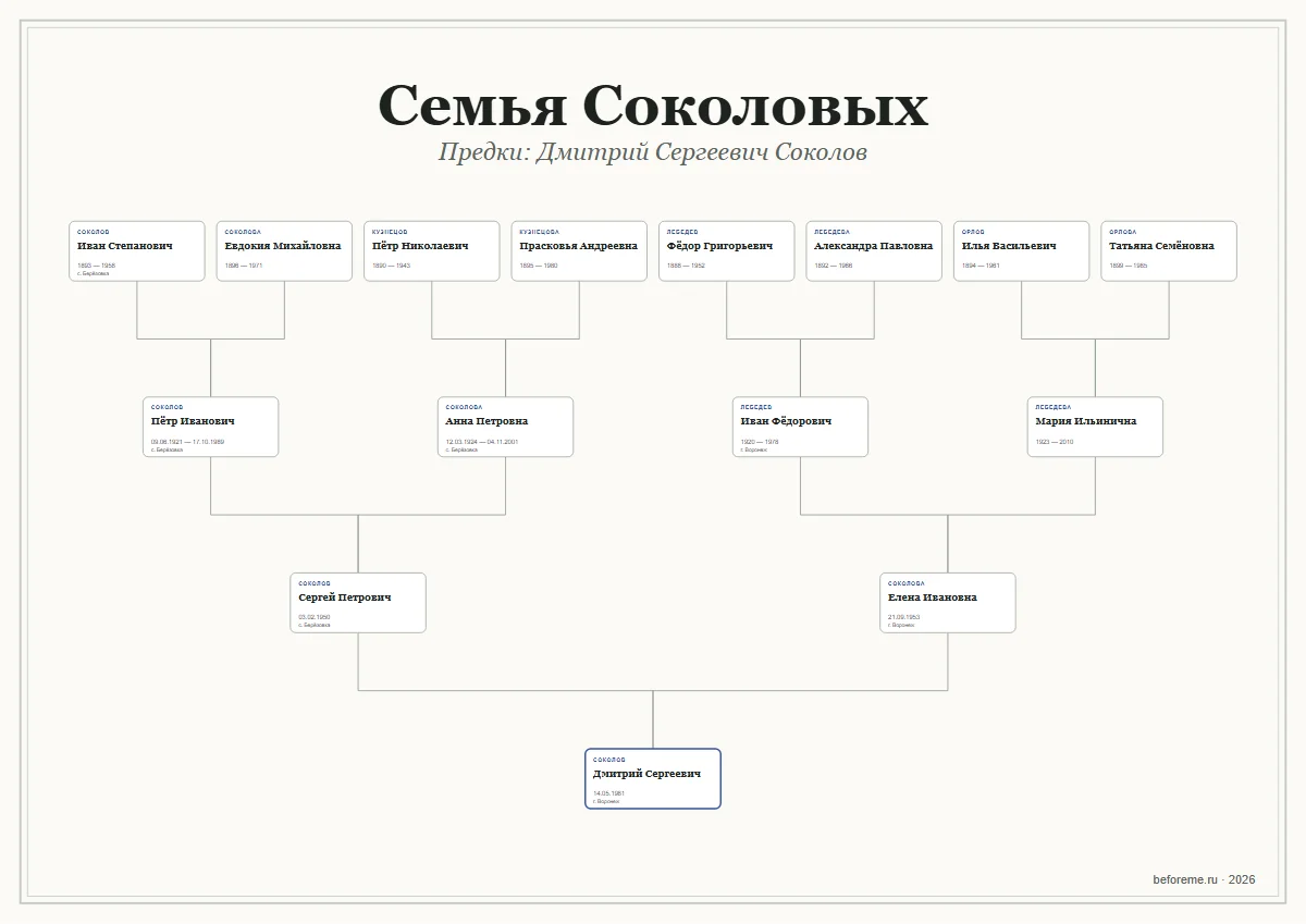 Семейный постер в светлом оформлении: четыре поколения предков семьи Соколовых