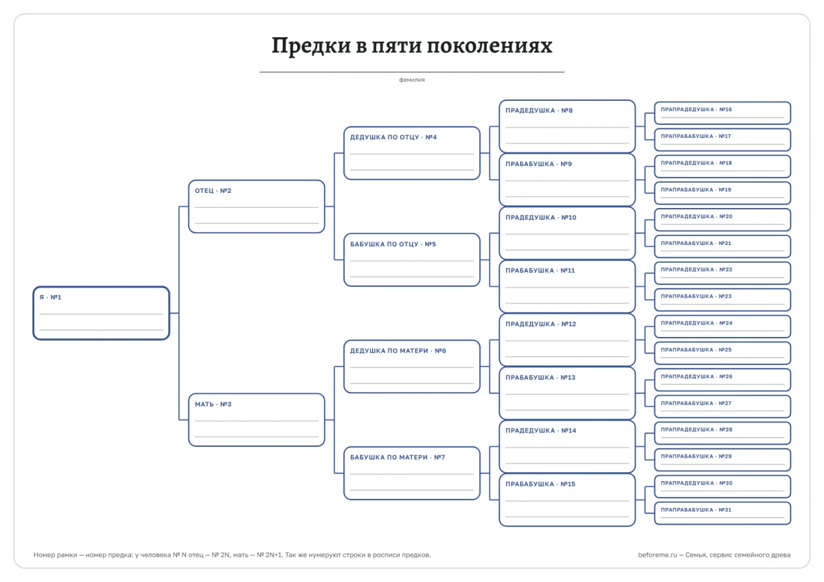 Шаблон «Родословная таблица на 5 поколений»: до прапрадедушек и прапрабабушек — 31 человек. Для пяти поколений лучше печатать на A3.
